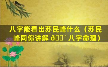 八字能看出苏民峰什么（苏民峰同你讲解 🌴 八字命理）